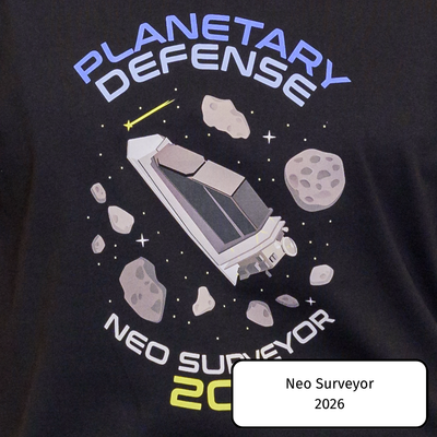 Neo Surveyor