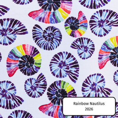 Rainbow Nautilus