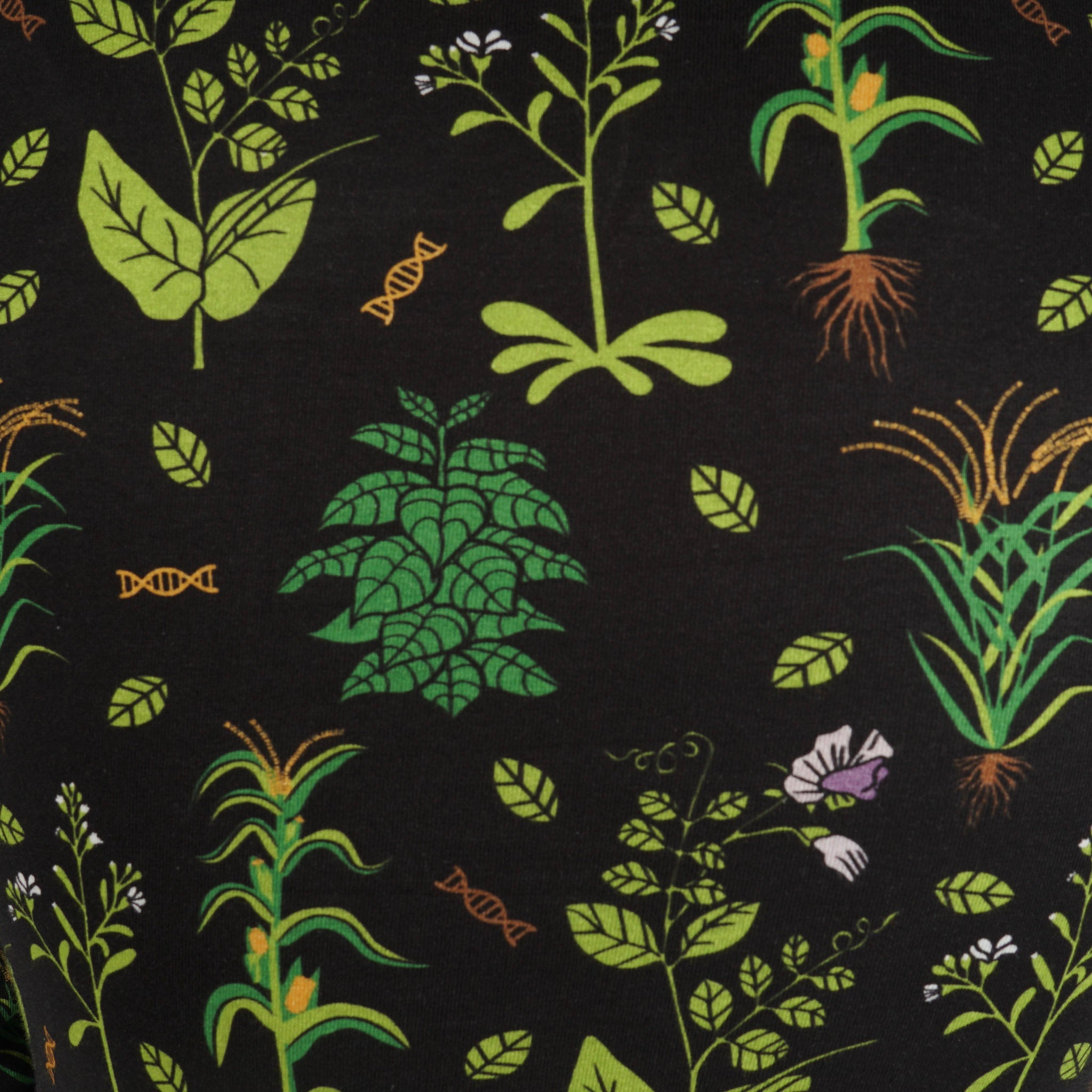 Genetic Plants 3/4th Sleeves Midi Dress