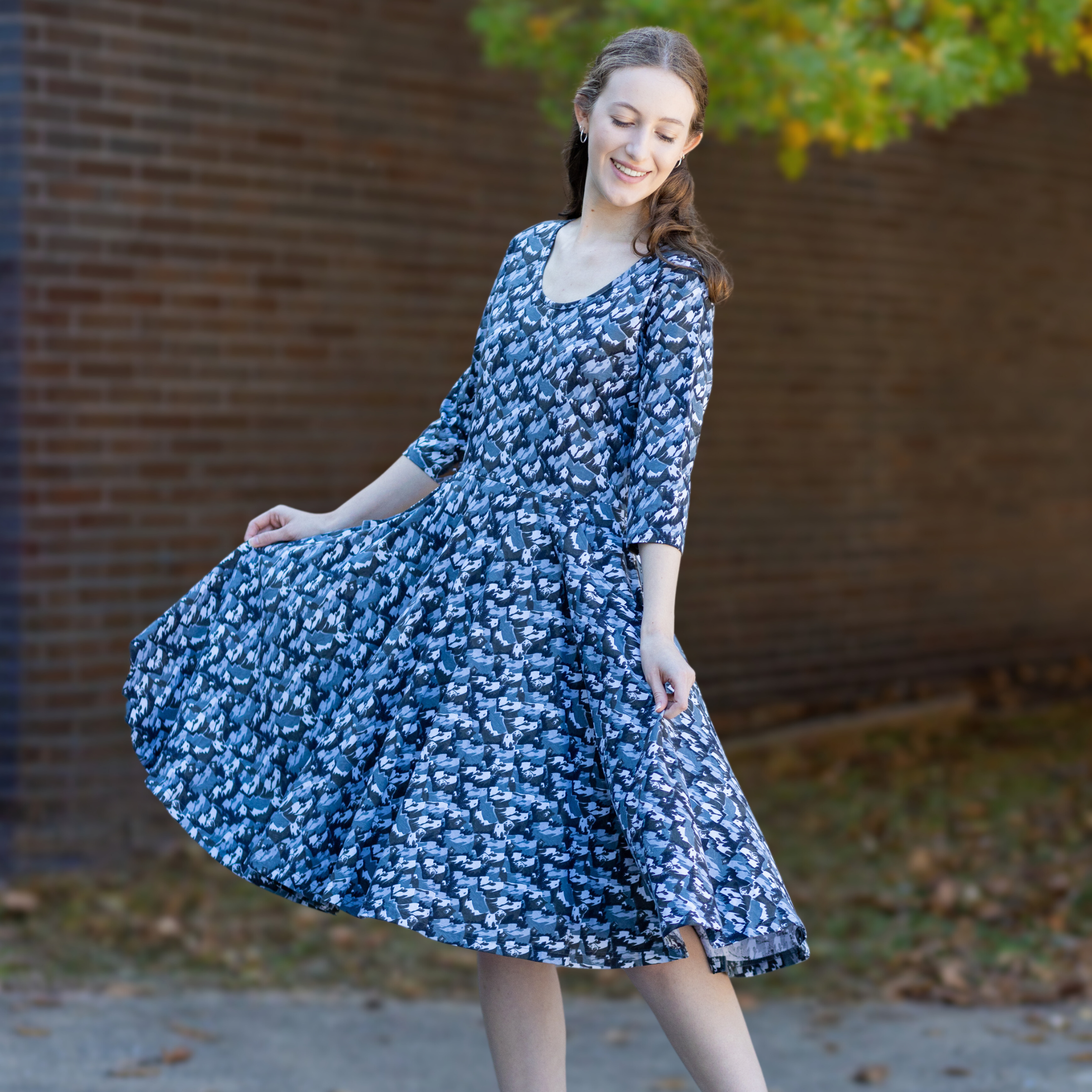 Bears and Mountains 3/4th Sleeves Full Twirl Dress