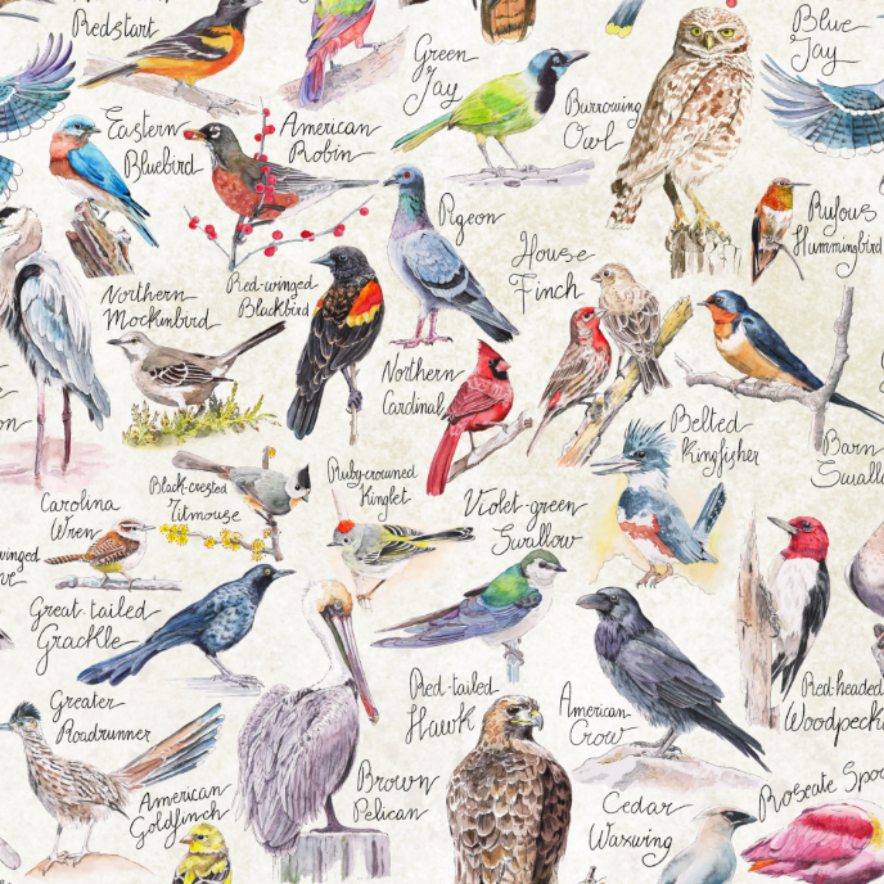 North American Birds Sleeveless Smocked Waist Dress