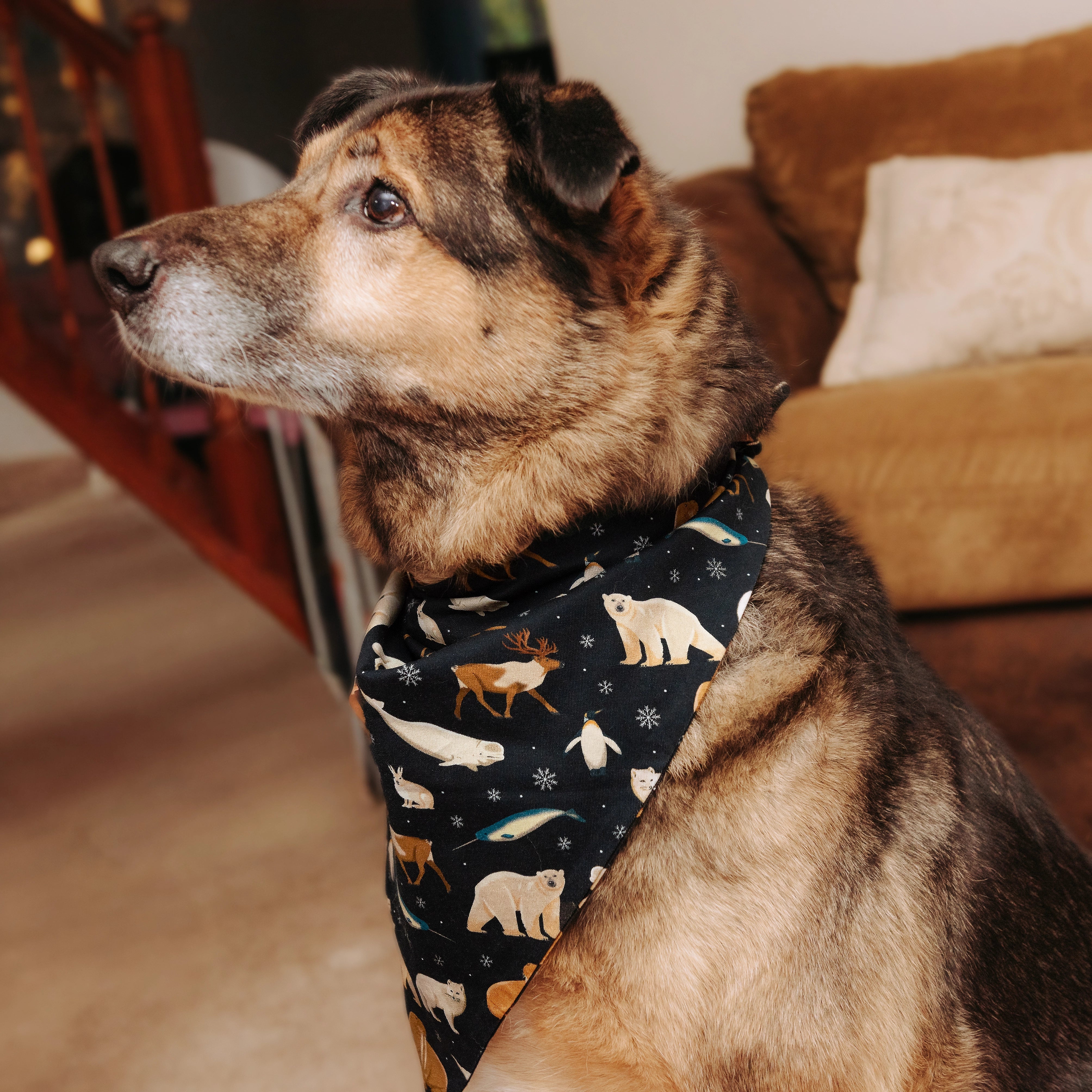 Arctic Animals Pet Bandana
