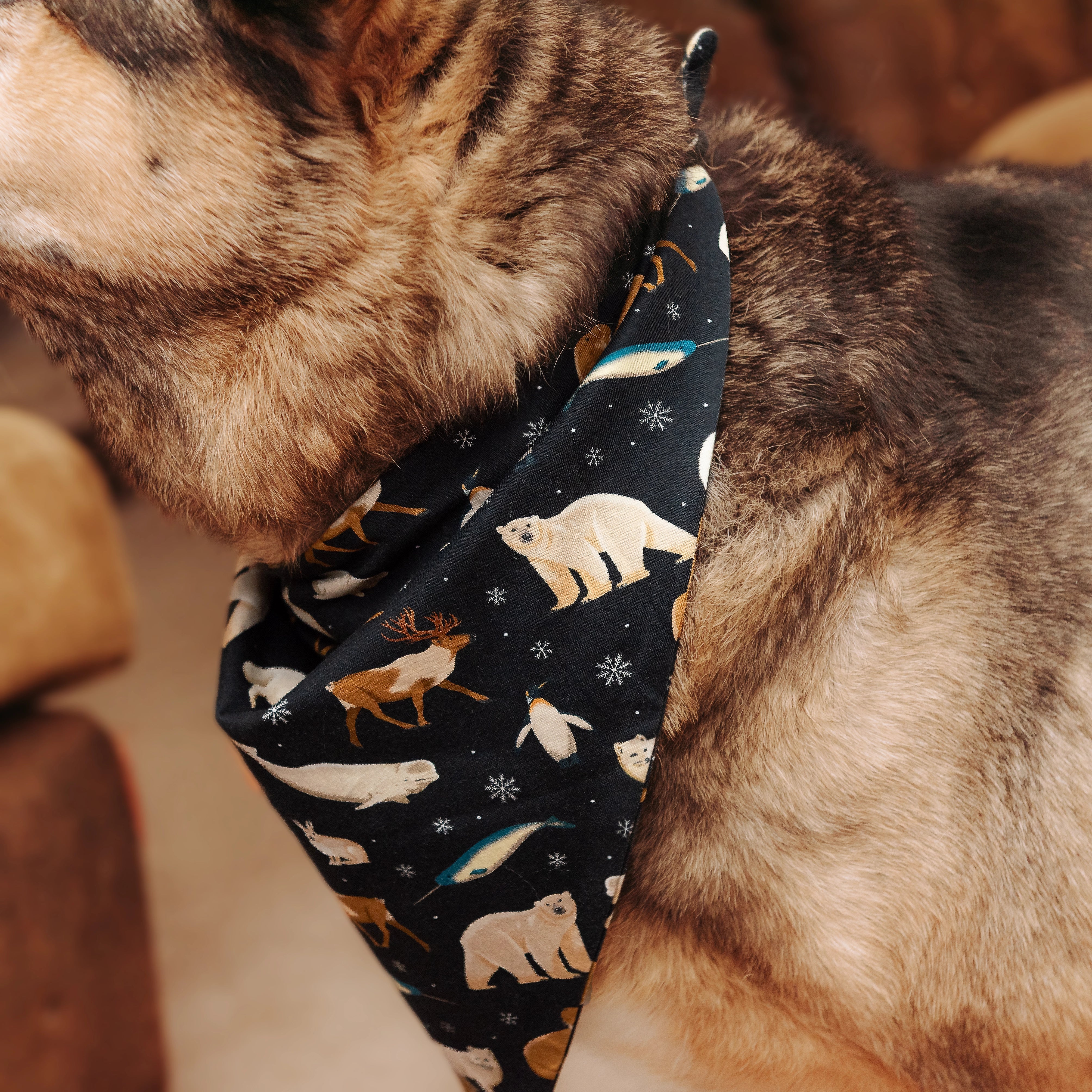 Arctic Animals Pet Bandana