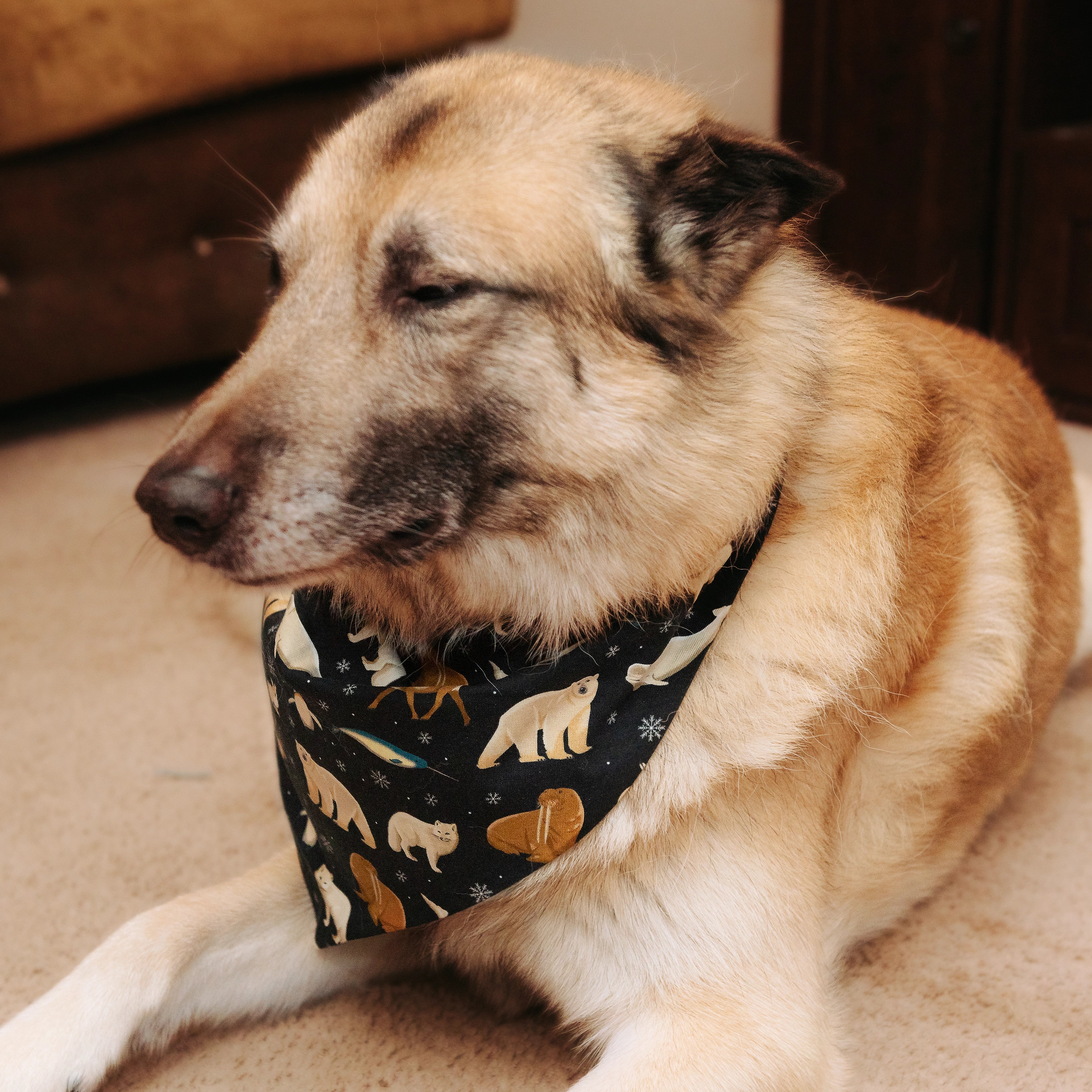 Arctic Animals Pet Bandana