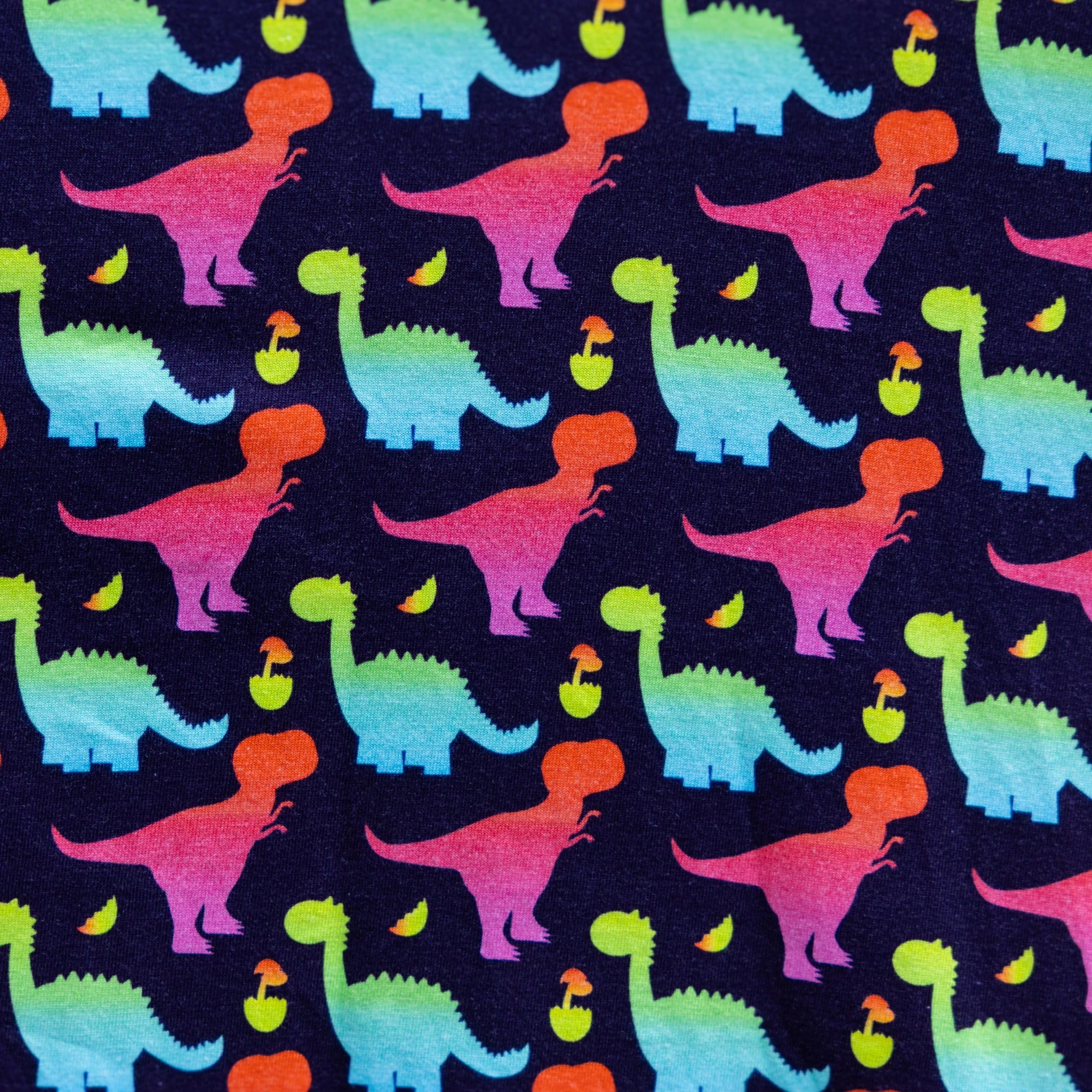 Colorful Dinosaurs Kids Long Sleeve T-Shirt