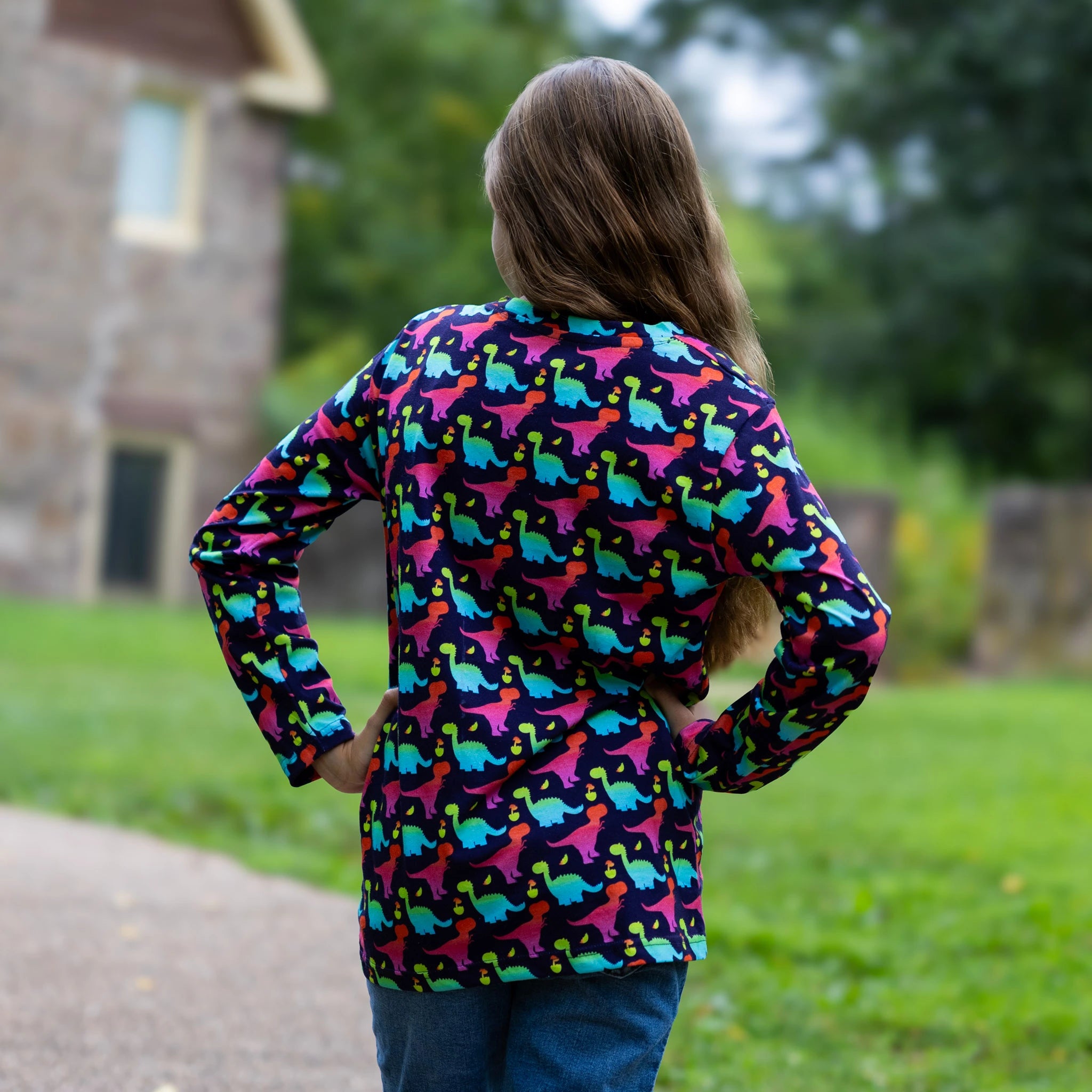 Colorful Dinosaurs Kids Long Sleeve T-Shirt