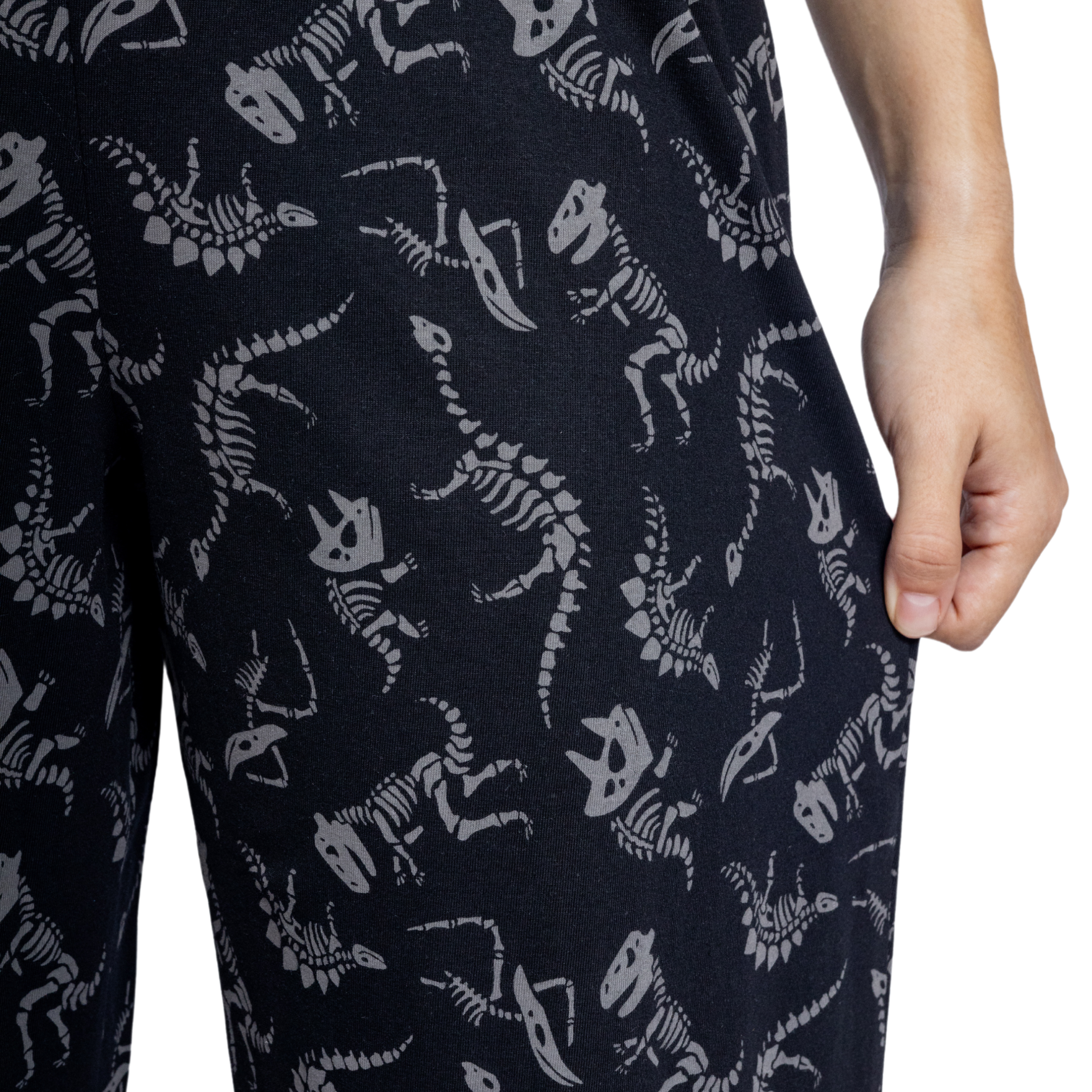 Dinosaur Fossils Lounge Pants