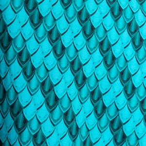 Dragon Scales