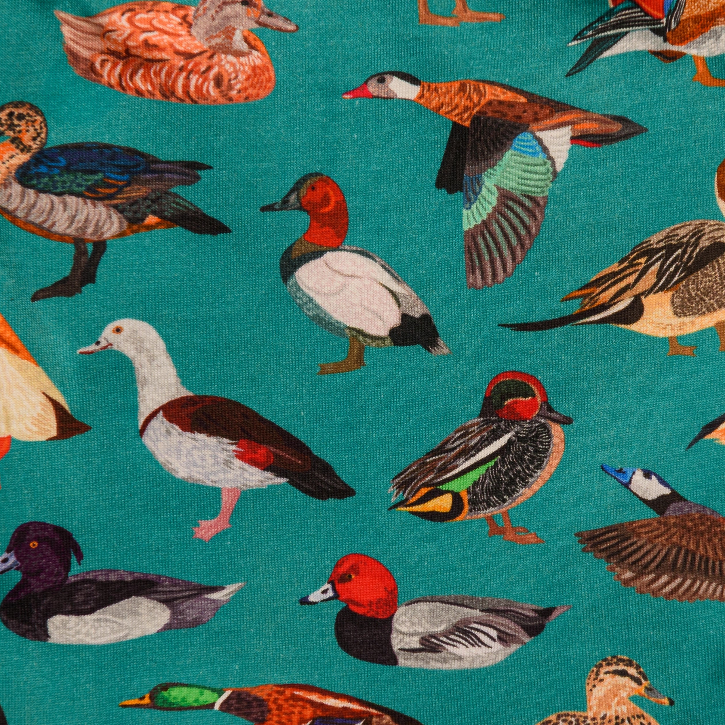 Ducks