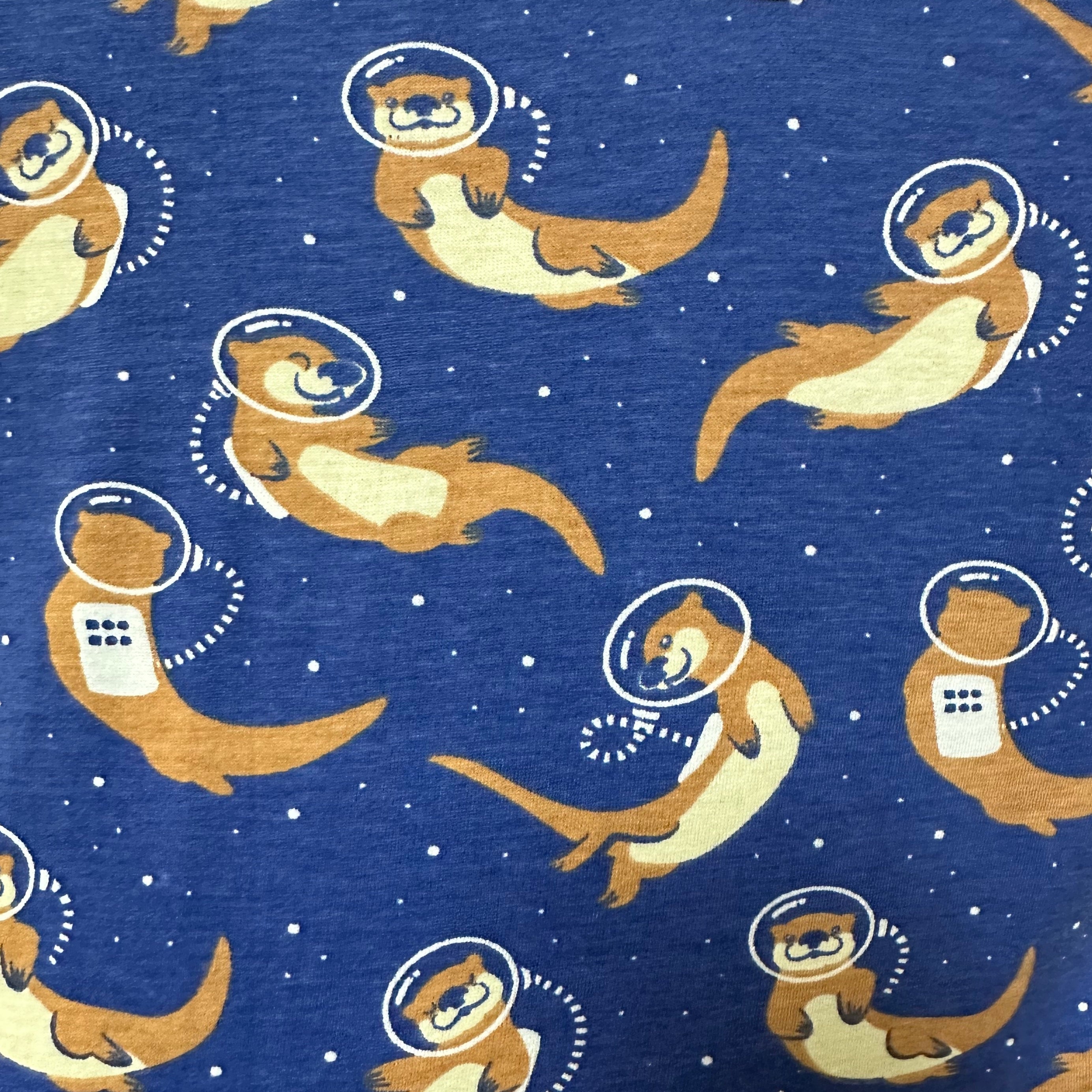 Otters in Space A-Line Dress