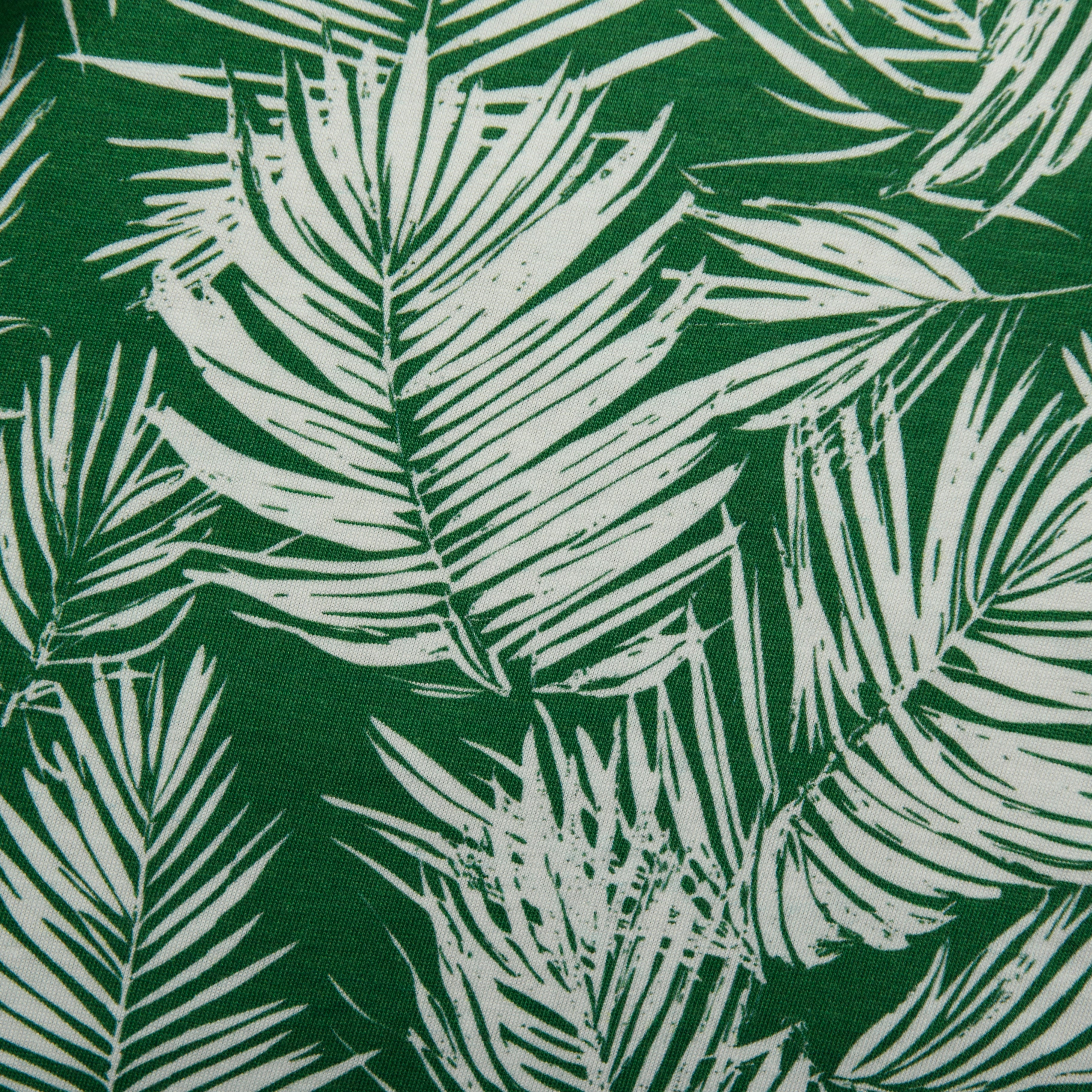 Palm Leaves