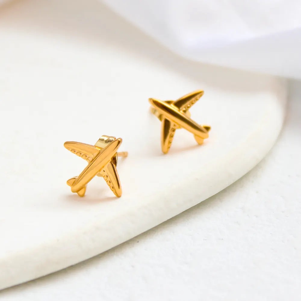 Plane Stainless Steel Earrings