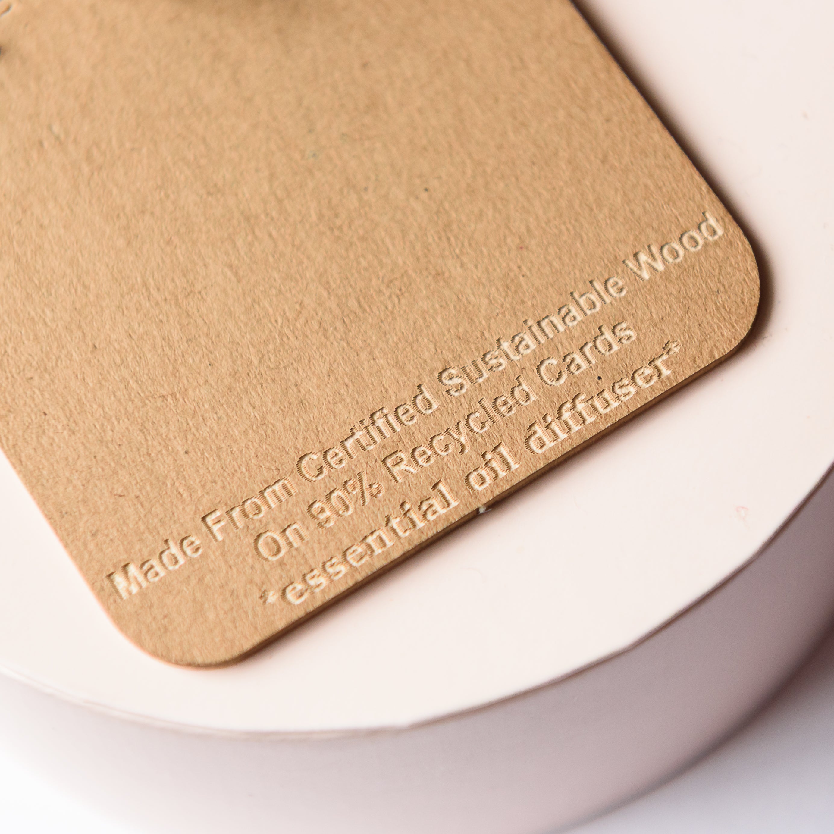 Pride Heart Wooden Earrings