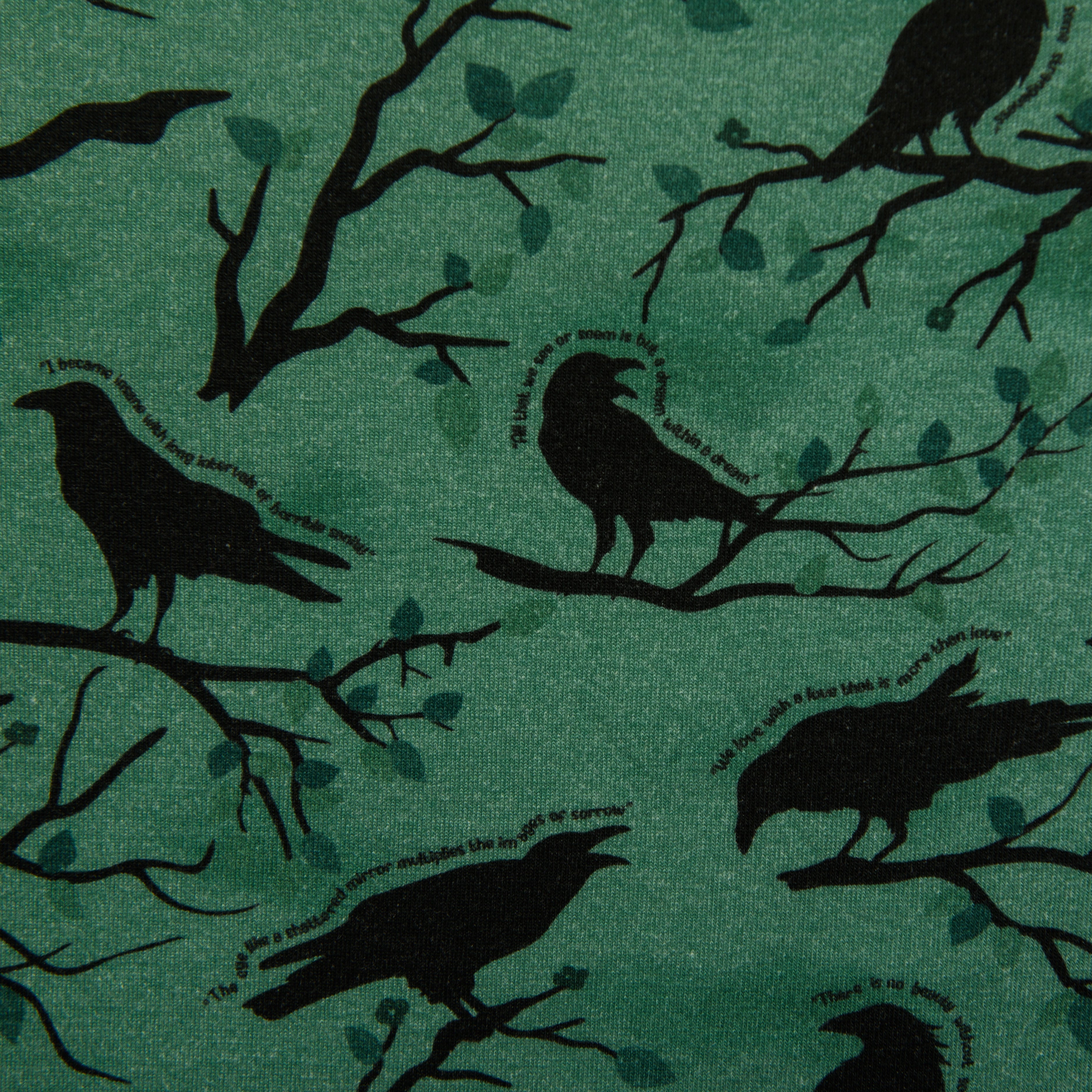 Quoth the Raven
