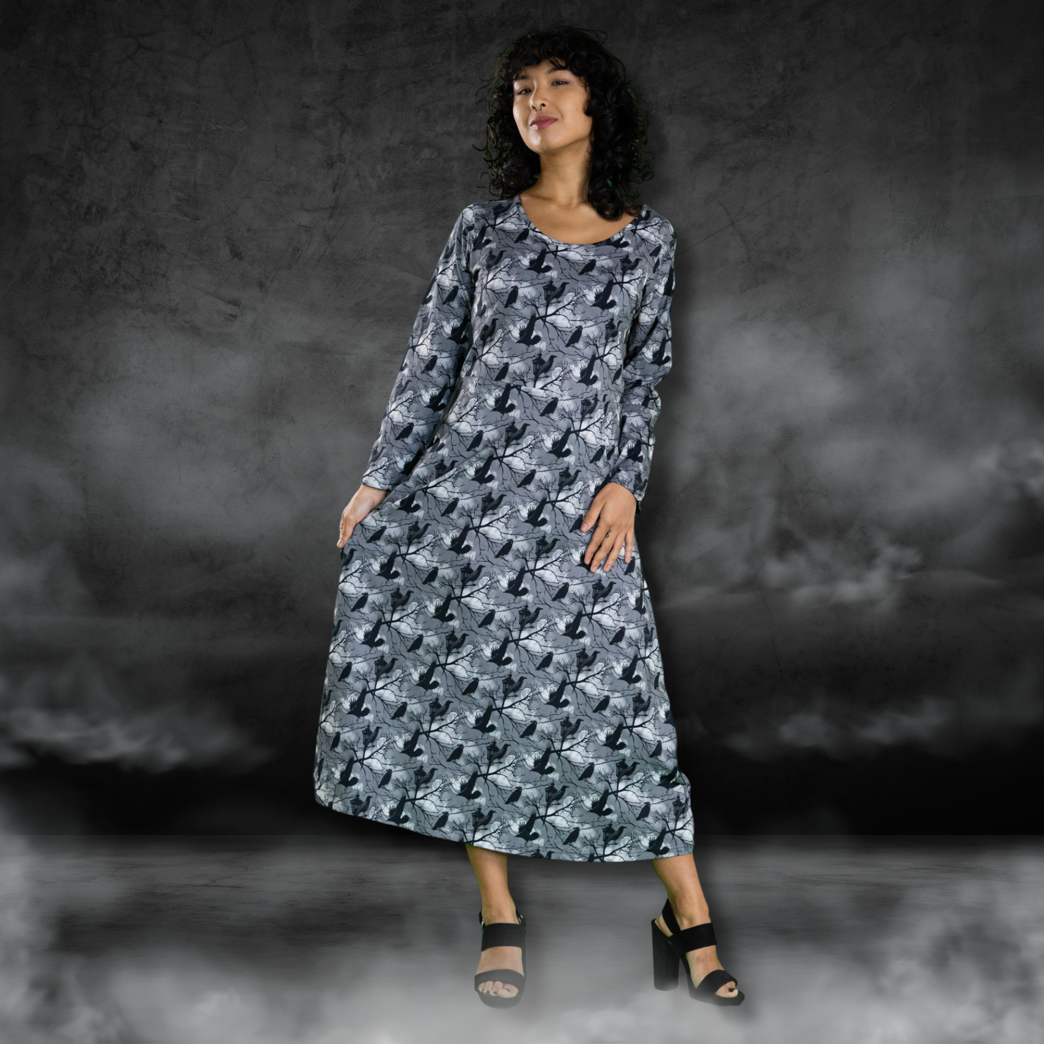 Raven Long Sleeve Midi Dress (With Waist Seam)