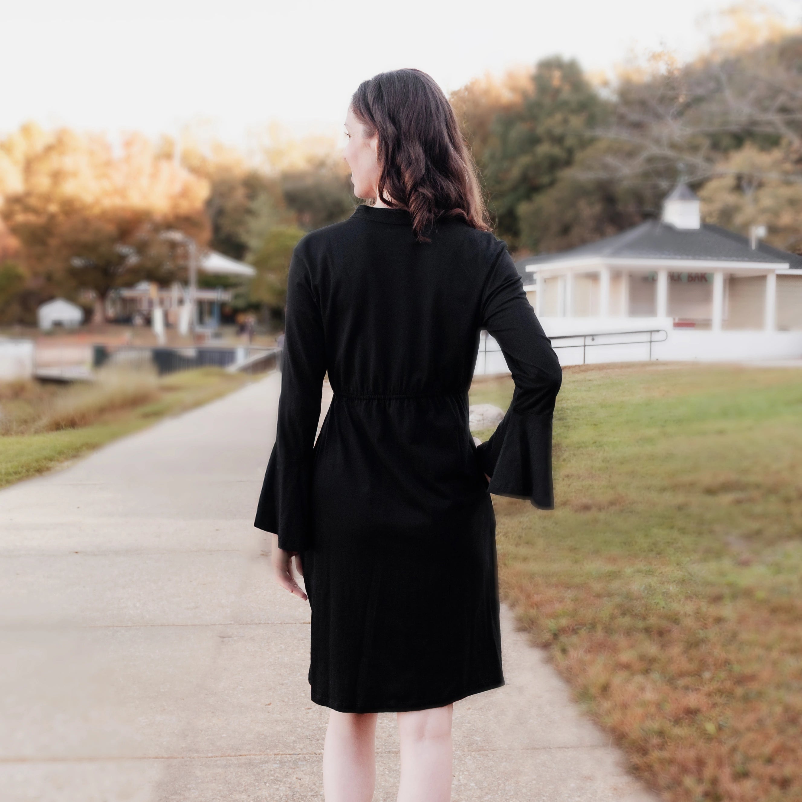 Seahorse Button-Up Dress (With Waist Seam)