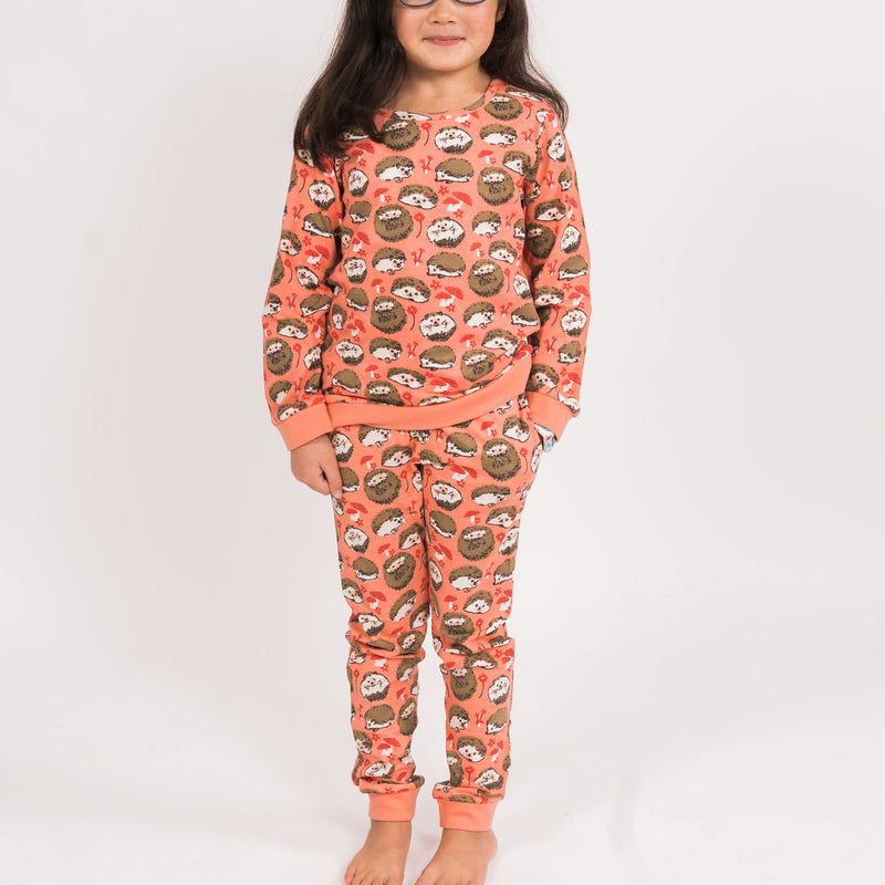Hedgehog Hedgehugs Pajamas Pink Hedgehog PJ Pants Featuring Cute Hedgehogs  & Hearts Pattern Lightweight Jammies 