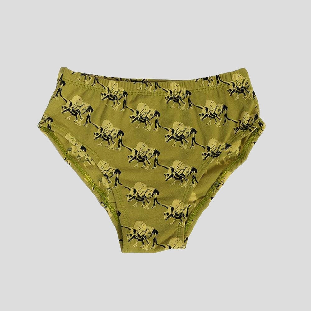 Dinosaur Fossils Kids Underwear [FINAL SALE]