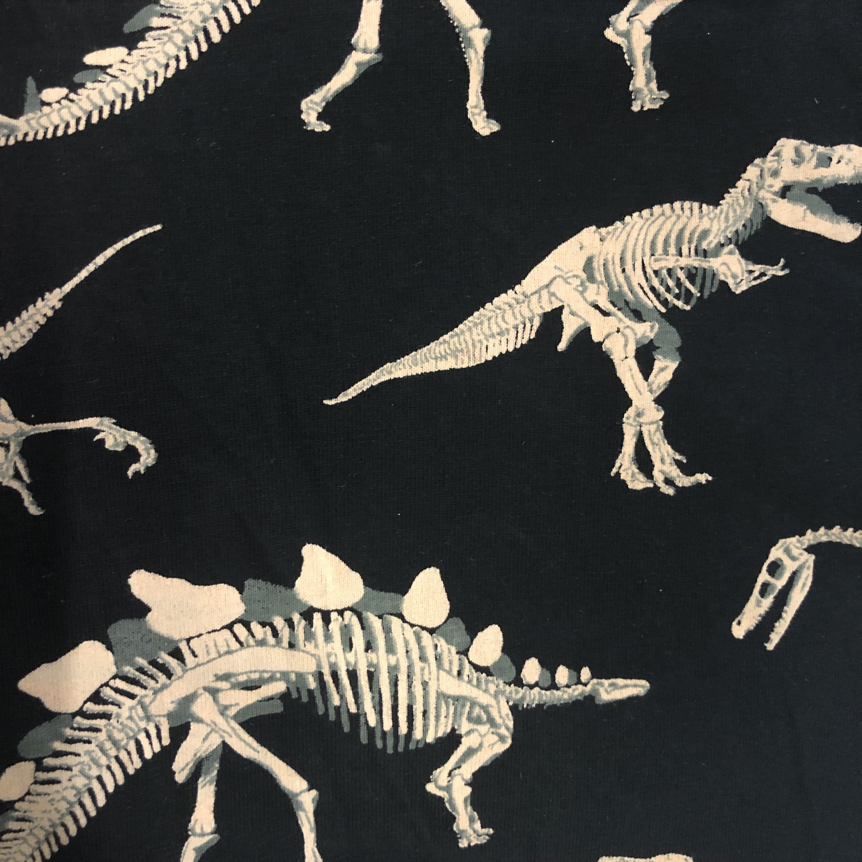 Dinosaur Fossils Print STEM - Svaha USA