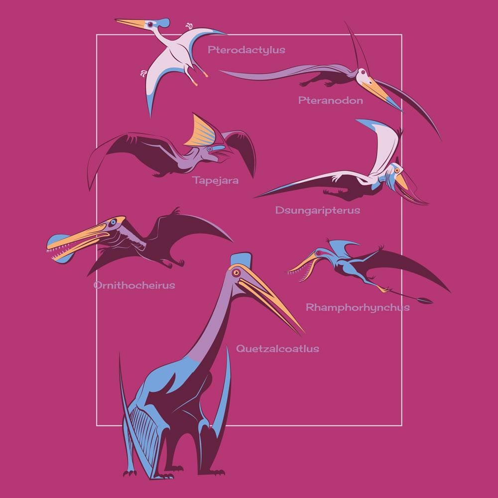 Pterosaurs Kids T-Shirt (POD)